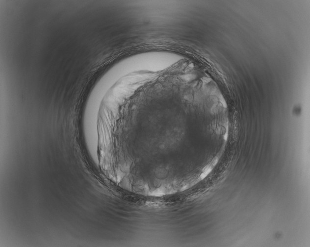 X0000116280641201001111036
