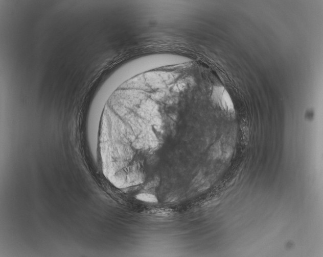 X0000116280642201001111036