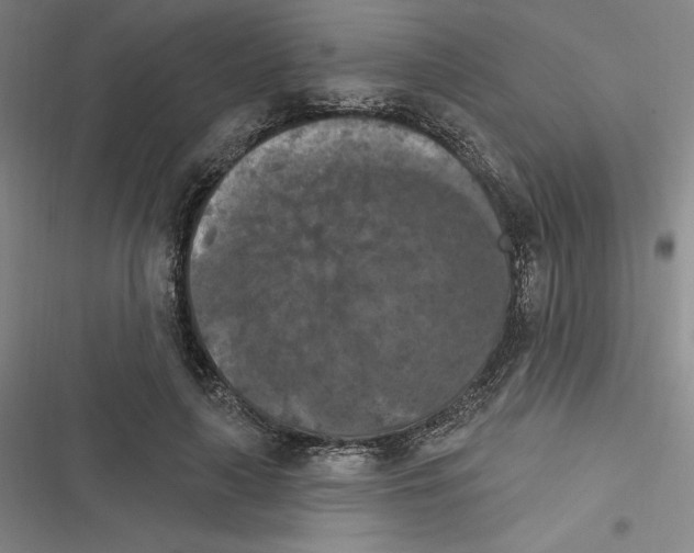 X0000116280643201001111036