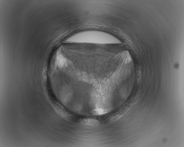 X0000116280644201001111036