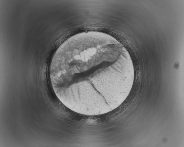 X0000116280647201001111036