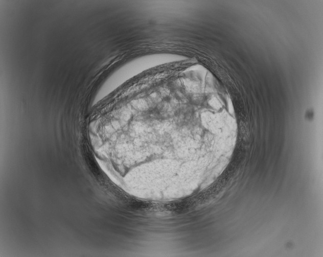 X0000116280648201001111036