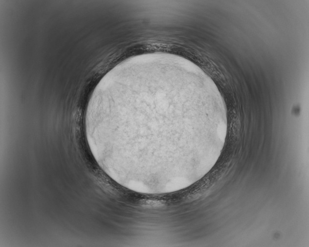 X0000116280649201001111036