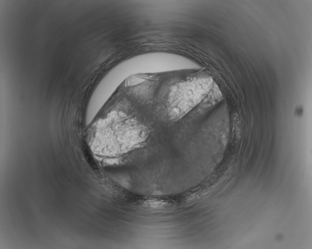 X0000116280650201001111036