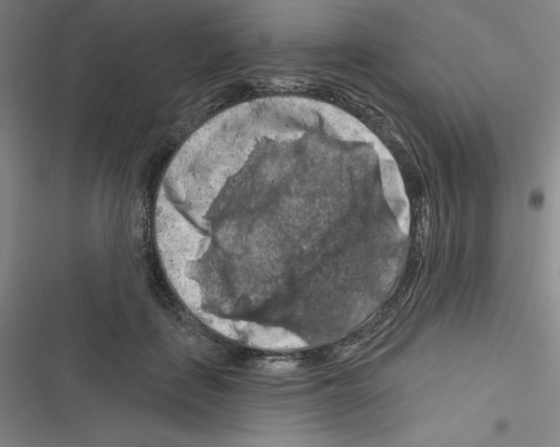 X0000116280651201001111036