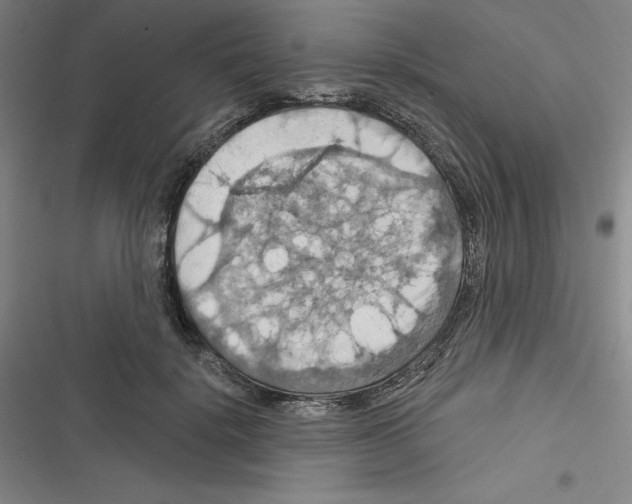 X0000116280652201001111036