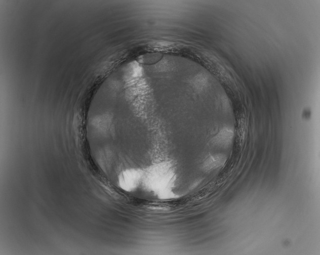 X0000116280653201001111036