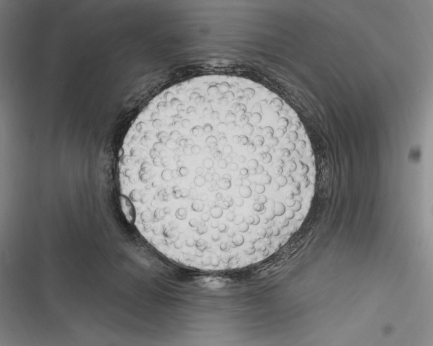 X0000116280654201001111036