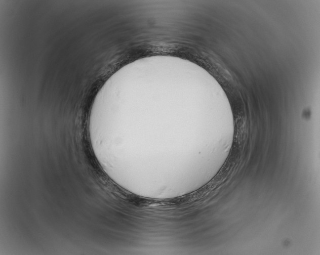 X0000116280655201001111036