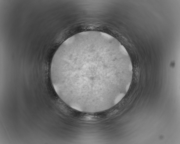 X0000116280657201001111036