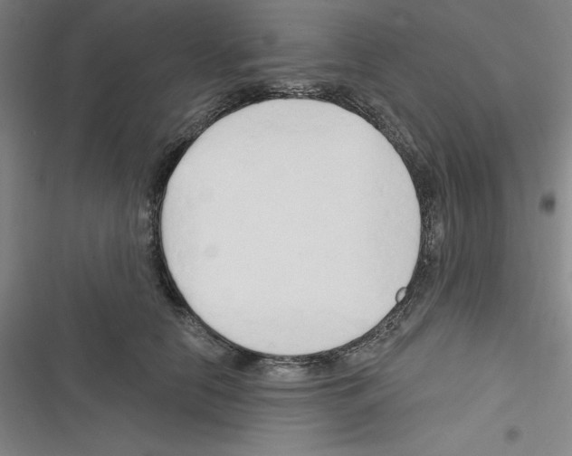 X0000116280658201001111036