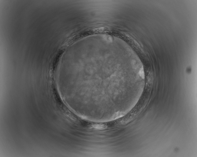 X0000116280659201001111036