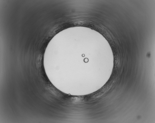 X0000116280660201001111036