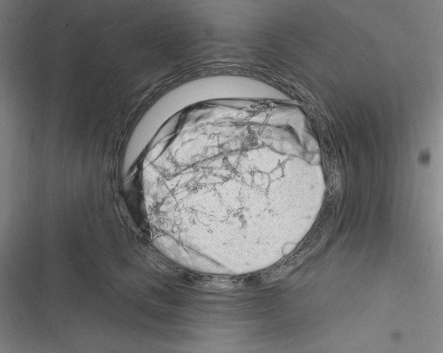 X0000116280661201001111036