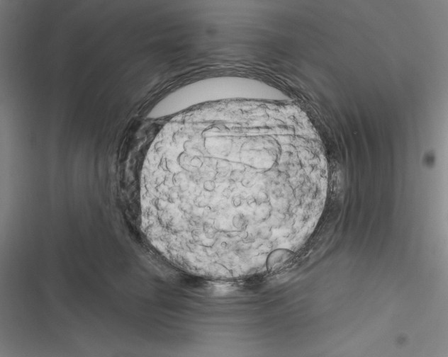 X0000116280662201001111036