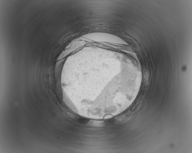 X0000116280665201001111036