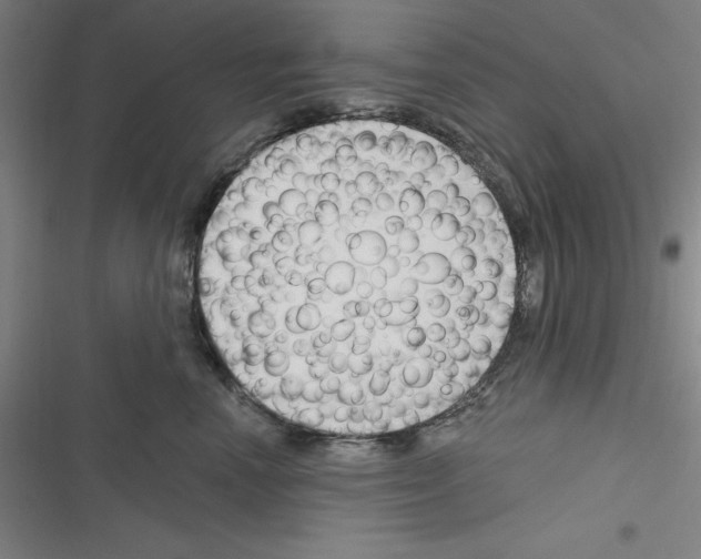 X0000116280666201001111036
