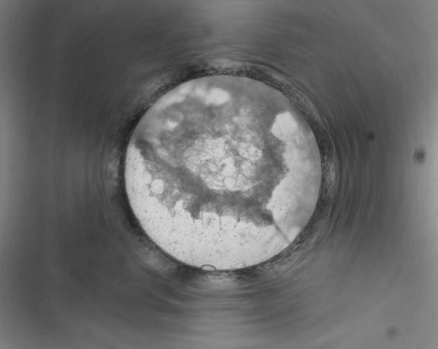 X0000116280668201001111036