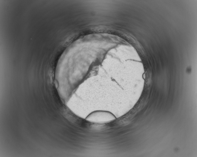 X0000116280669201001111036