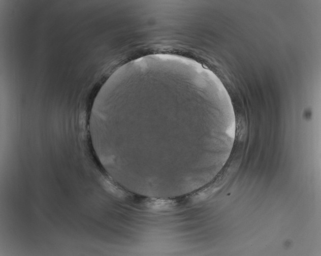 X0000116280670201001111036
