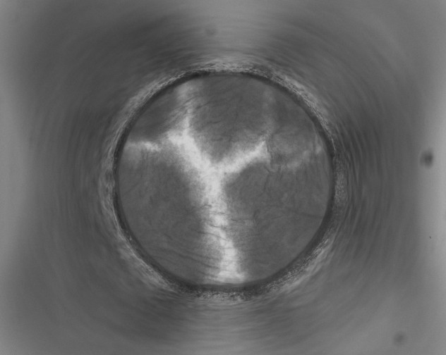 X0000116280673201001111036