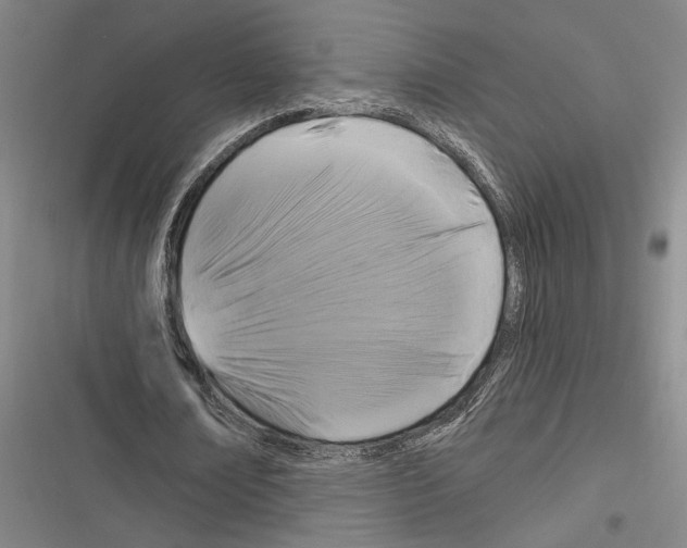 X0000116280674201001111036