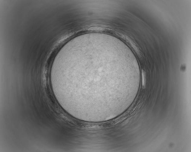 X0000116280675201001111036