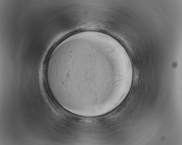 X0000116280678201001111036