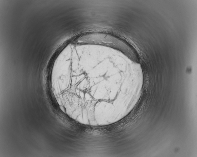 X0000116280679201001111036