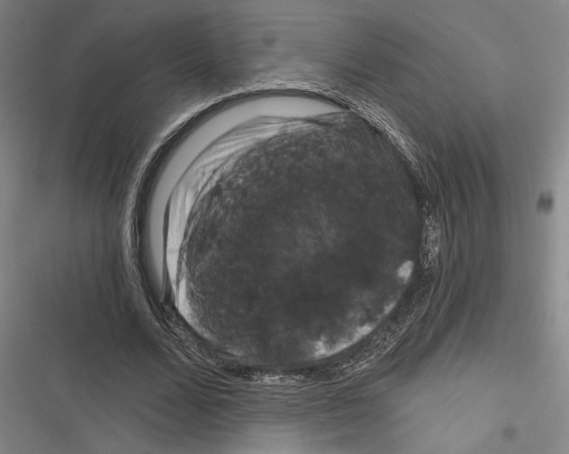 X0000116280680201001111036