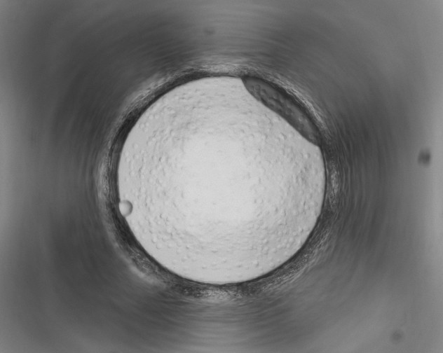 X0000116280682201001111036