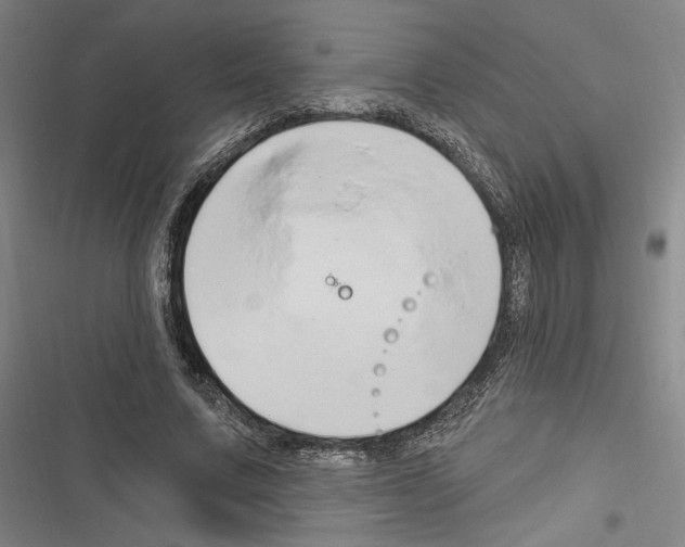 X0000116280683201001111036