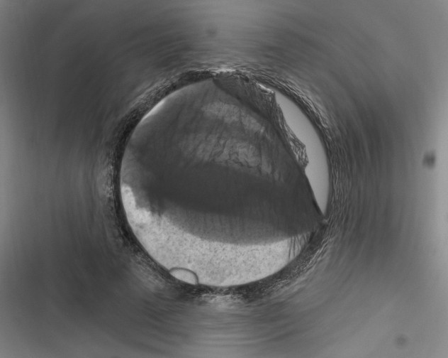 X0000116280689201001111036