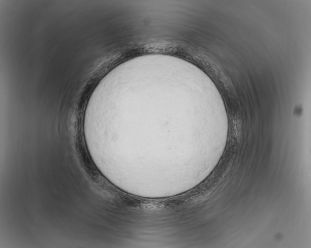 X0000116280690201001111036