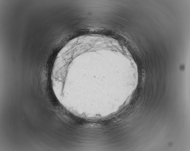 X0000116280691201001111036