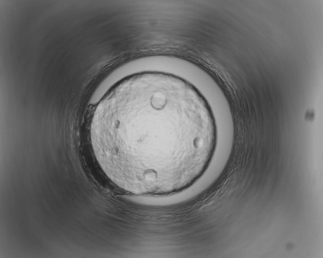 X0000116280693201001111035