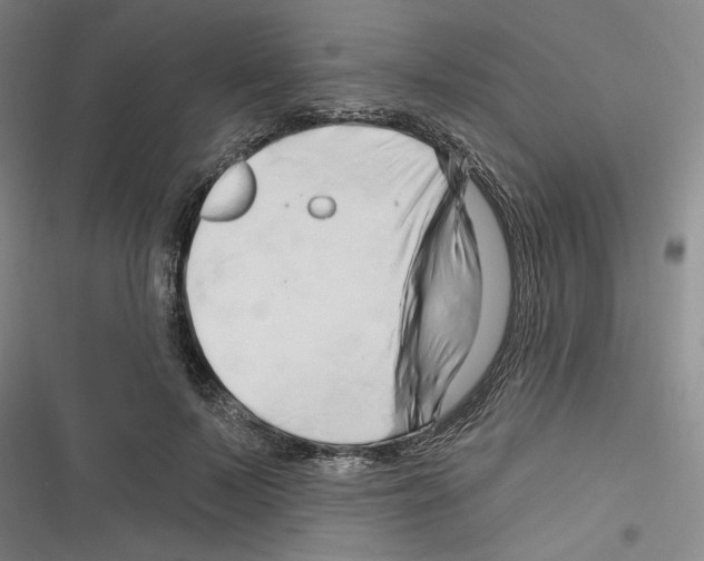 X0000116280695201001111035