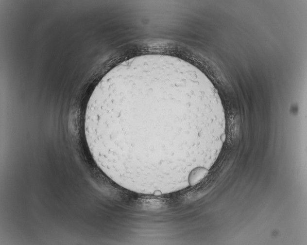 X0000116280698201001111035