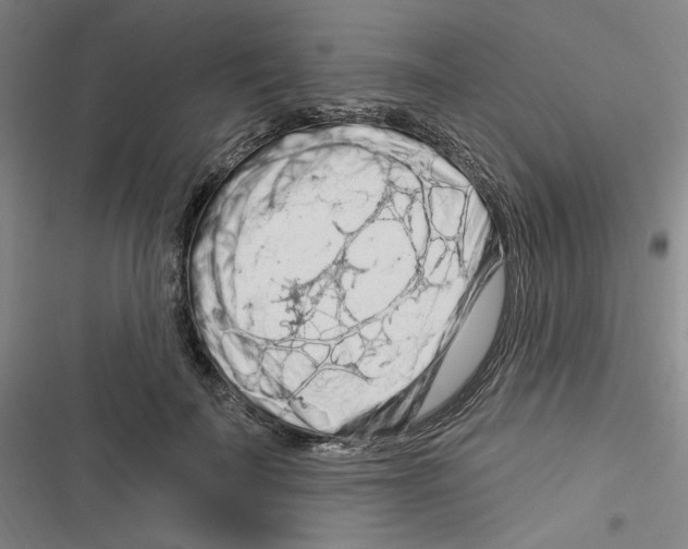X0000116280699201001111035