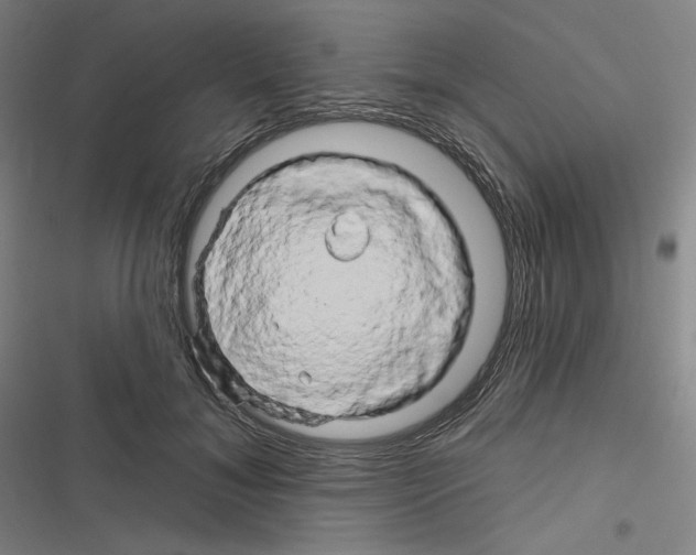 X0000116280700201001111035