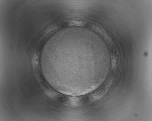 X0000116280701201001111035