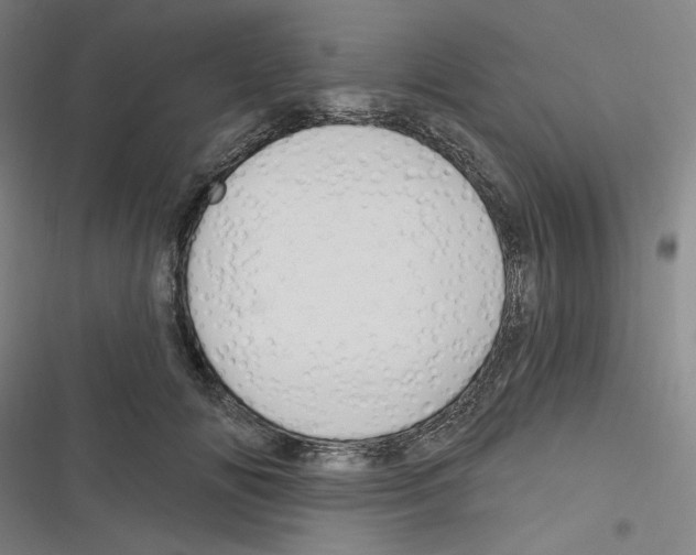 X0000116280702201001111035