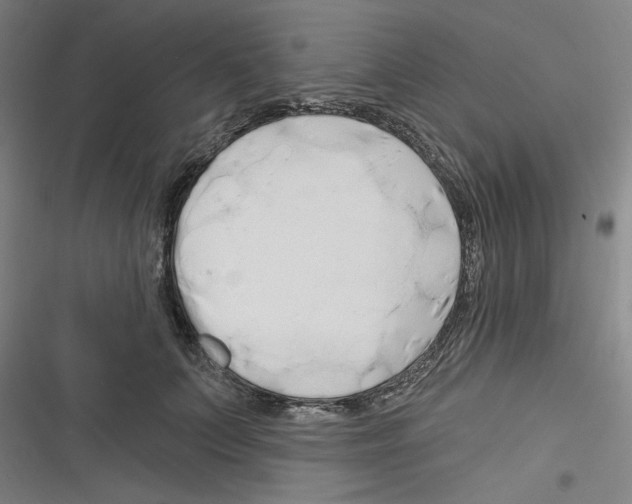 X0000116280703201001111035