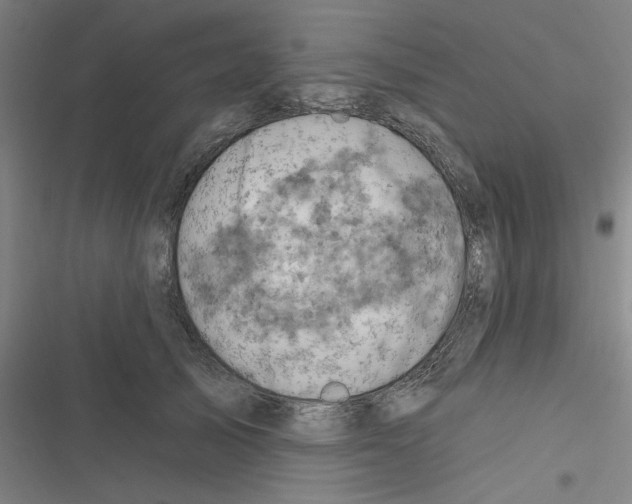 X0000116280705201001111035