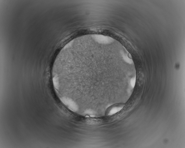 X0000116280707201001111035