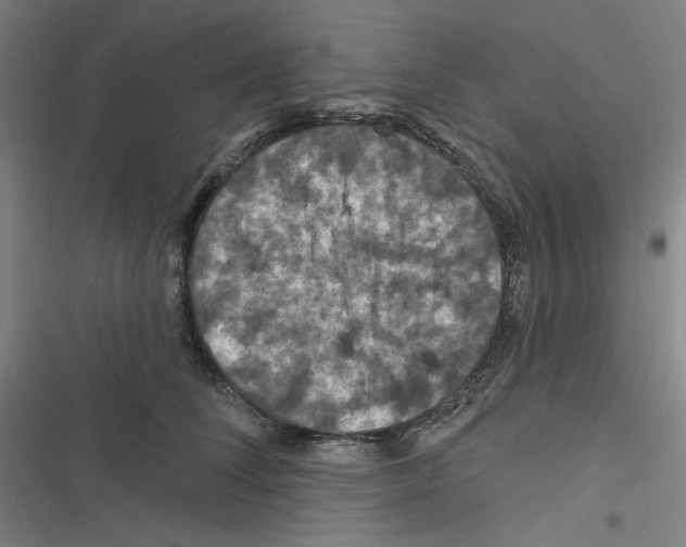 X0000116280708201001111035