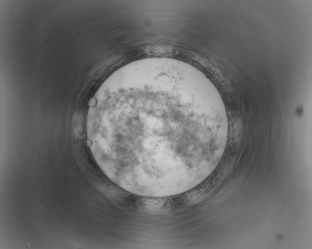 X0000116280709201001111035