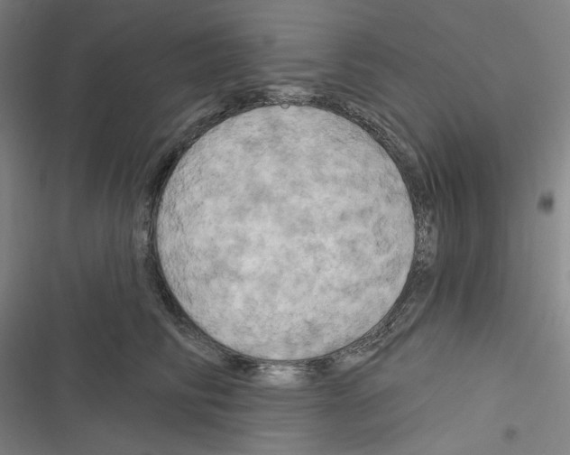 X0000116280710201001111035