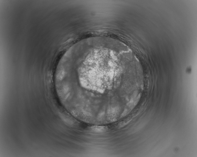 X0000116280711201001111035