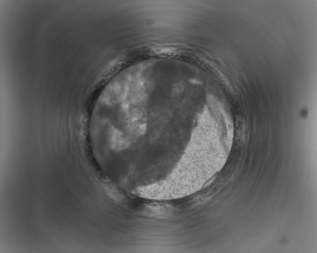 X0000116280712201001111035